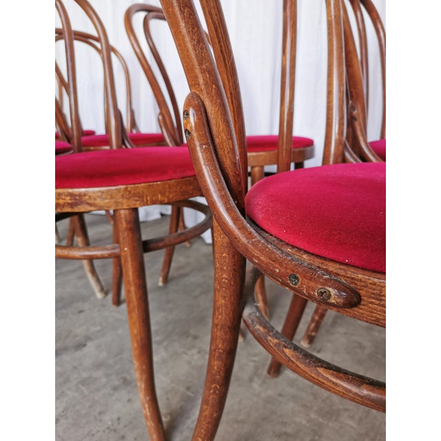1970s Vintage Bentwood Bistro Chairs, 1970s, Set of 8 For Sale - Image 5 of 18