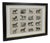 Webb & Millington, The Panorama of Horses, 1850, Engraving For Sale
