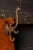 Victorian Oak Shield Wall Rack With Figural Cast-Iron Hooks For Sale - Image 4 of 5
