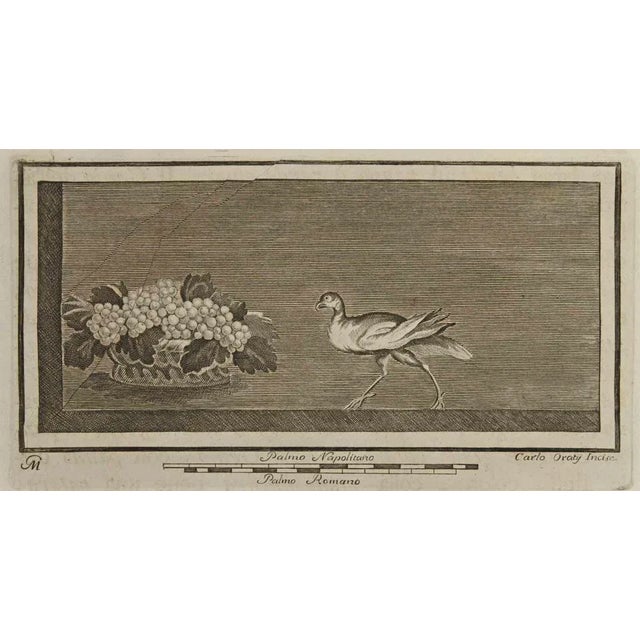 Roman Still Life Fresco from "Antiquities of Herculaneum" is an etching on paper realized by Carlo Oraty in the 18th...