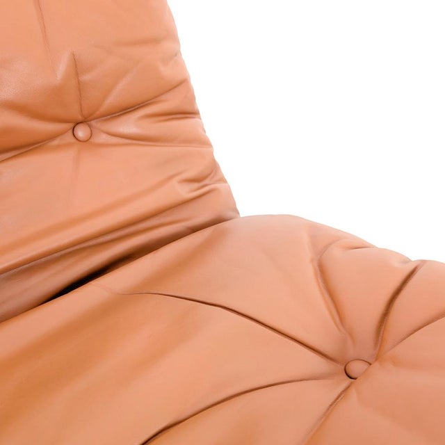 Brown RH 301 Armchair by Robert Haussmann and Mies van der Rohe for de Sede For Sale - Image 8 of 12