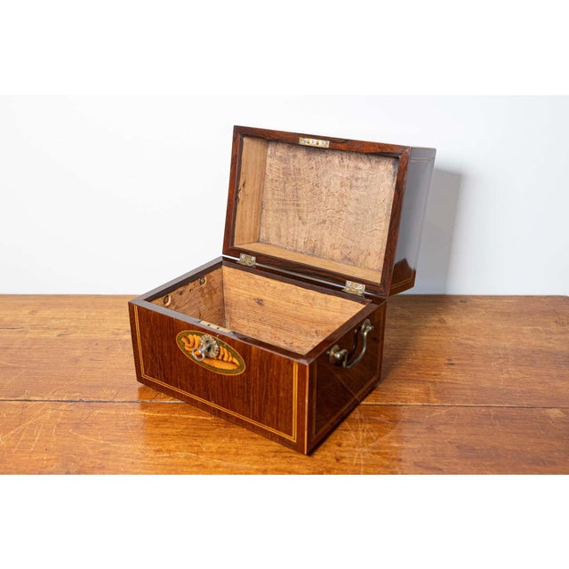 Mid 19th Century Danish 1840s Mahogany Box with Ash Shell Marquetry, Banding and Lateral Handles For Sale - Image 5 of 10