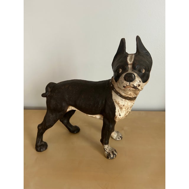 Antique, heavy, cast iron doorstop in the form of a Boston Terrier Dog. Chippy black and white paint.