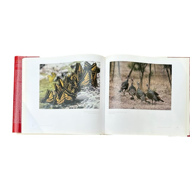 Red Vintage Large Centennial Hardcover Coffee Table Photography Book Two Eagles; Dos Aguilas: The Natural World of the United States-Mexico Borderlands For Sale - Image 8 of 12