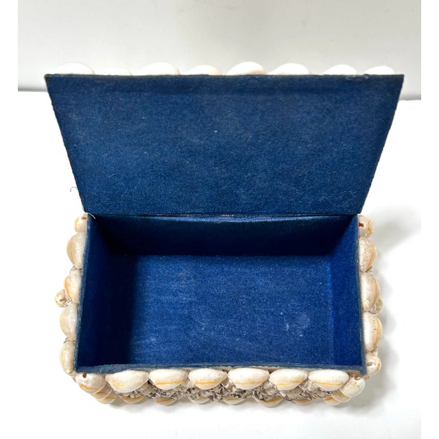 1940s Handcrafted Seashell Box, Coastal Palm Beach Decor For Sale - Image 10 of 10