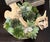 Custom Succulent Arrangement in Wooden Bowl For Sale - Image 4 of 11