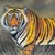 Vintage Original Tiger Painting on Fabric Wildlife Textile For Sale In Tampa - Image 6 of 9