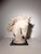 Elegant decorative sculpture depicting a stylised horse’s head , finely modelled with flowing mane and expressive facial...