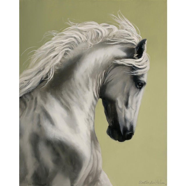 Brave Heart by Sarah van der Helm | Oil on panel Portrait of a white horse. For Sale