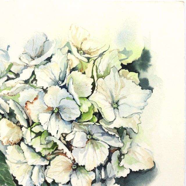 Realism Green and White Hydrangeas - Floral Watercolor Painting Original Artwork by Anna Kudriashova For Sale - Image 3 of 7