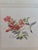 Beautiful limited-edition wildlife lithograph “August,” also known as “Ruby-Throated Hummingbirds,” by acclaimed American...