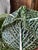 Large Earthenware Tureen in the shape of Cabbage Leaves, 1970s For Sale - Image 16 of 18