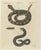 Bertuch, Rattlesnake with Its Rattle, 1805, Print For Sale - Image 3 of 12