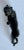 In a classical style, this could be a tiger or female lion sculpture or paperweight. Not sure of the type of metal,...