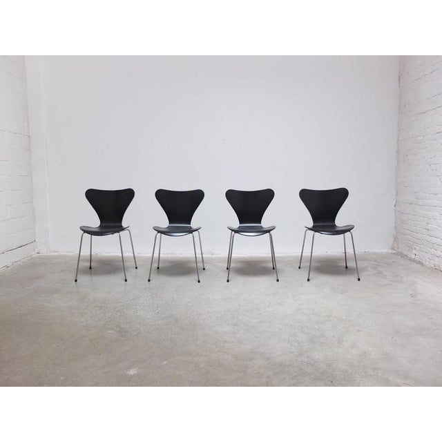 Vintage Black Series 7 Chairs by Arne Jacobsen for Fritz Hansen, 1955, Set of 4 For Sale - Image 18 of 18