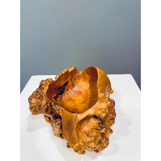 Large Vintage Swedish Bowl in Burl Wood, 1940s For Sale - Image 4 of 6