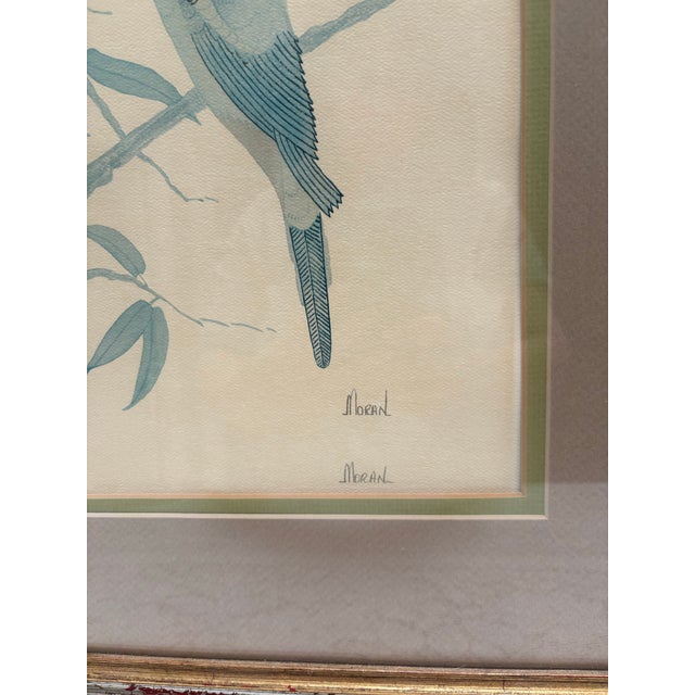 Paper Large Vintage Framed “Blue Bonnet” Parrots Framed Fine Art Print For Sale - Image 7 of 8