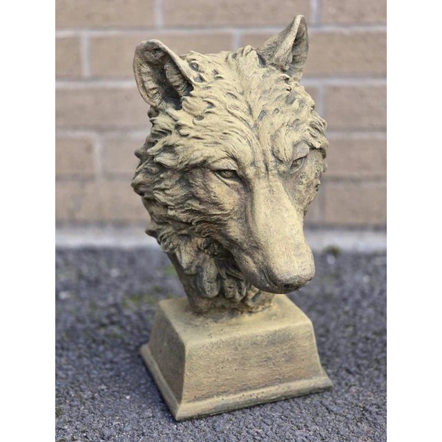 English Cast Stone Wolf Head Bust For Sale - Image 13 of 17