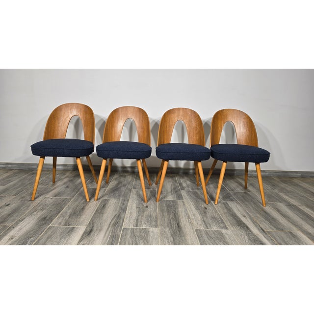 1960s Set of Dining Chairs by Antonin Suman, 1960s For Sale - Image 5 of 12