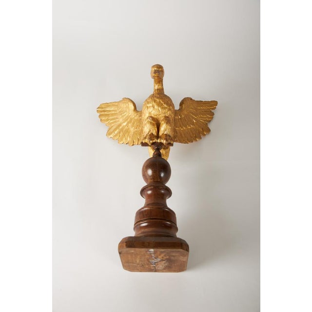 Wood Italian Artist, Eagle, 1800s, Carved and Gilded Walnut For Sale - Image 7 of 10