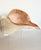 1980s conch sea shell on acrylic display. Gorgeous natural details throughout.