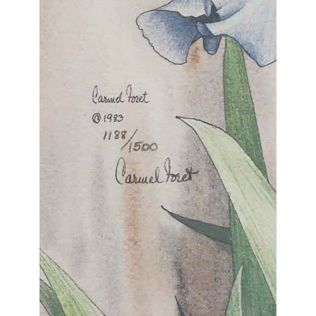 Carmel Foret 1983 Numbered Edition " Little Bearded Blue Iris" Pencil Signed Watercolor Print For Sale - Image 4 of 5