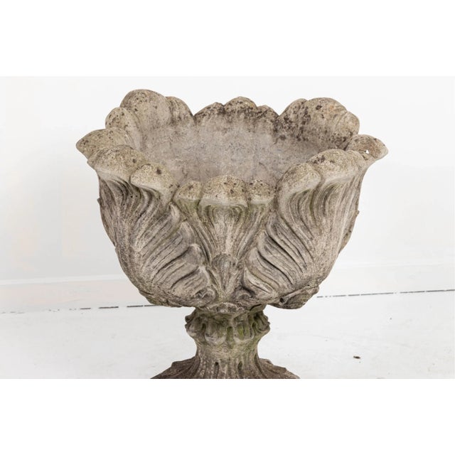 English Acanthus Concrete Leaf Planter For Sale - Image 3 of 10