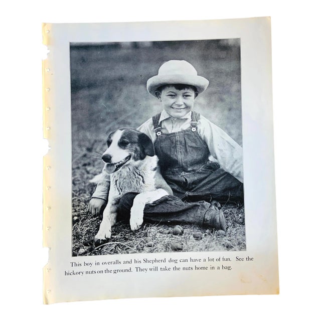 1933 Dog Book Illustration Shepard Print For Sale