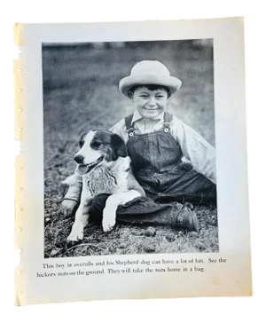 1933 Dog Book Illustration Shepard Print