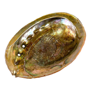 Vintage Hollywood Regency Coastal Abalone Pearl Shell Cigar Ashtray