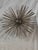Curtis Jere Large Vintage Mid-Century Modern Sea Urchin-Starburst in the Fashion of Curtis Jere For Sale - Image 4 of 8