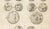 Paper Tardieu, Antique Print of Ancient Greek Coins and Medals, 1825, Engraving For Sale - Image 7 of 9