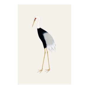 Japanese Crane Study I, Original Print, 40" X 60"