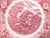 Red English Plate from Wedgwood, Set of 6 For Sale - Image 8 of 12