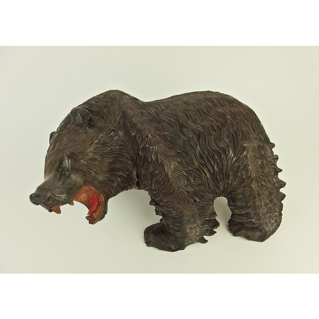 Carved Wooden Ainu Bear, 1960s For Sale - Image 17 of 17