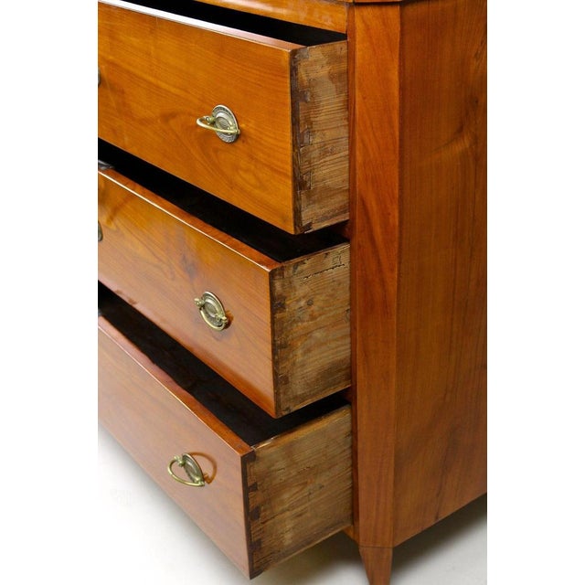 Brown Biedermeier Cherrywood Chest of Drawers, Austria, 1830s For Sale - Image 8 of 18