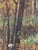 1970s Antique Impressionist Forest Oil Painting, Ukrainian Art, 1970s 36-27 For Sale - Image 5 of 6