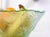 Spanish Starfish Embossed Green Glass Bowls - Set of 5 For Sale - Image 4 of 9