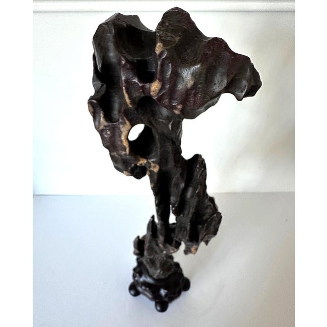 Chinese Scholar Stone Tall Slender Lingbi Rock on Display Stand For Sale - Image 15 of 17