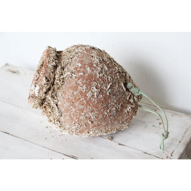 19th Century Terracotta Octopus Trap Vase For Sale - Image 6 of 12