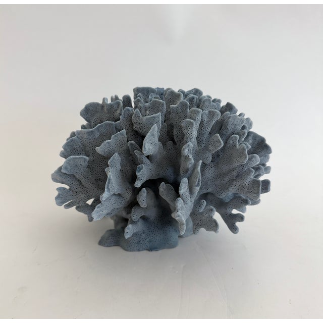 Chinoiserie Natural Blue Coral Specimen Coastal Decor For Sale - Image 3 of 6