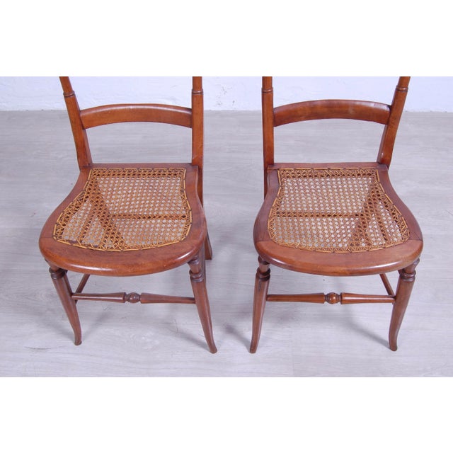 Brown Set of Walnut Provençal Chairs For Sale - Image 8 of 16