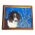 Contemporary Border Collie Portrait Print by Judy Henn For Sale