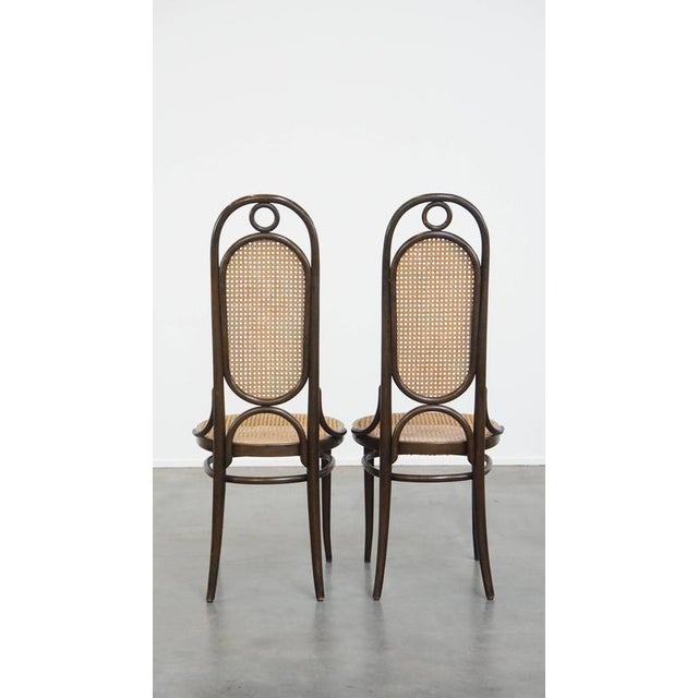 Set of Vintage Bentwood Dining Room Chairs by Michael Thonet For Sale - Image 3 of 13