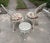 Mid-Century Modern Woodard Chantilly Rose 1960s Wrought Iron Patio Set, 3 Pieces For Sale - Image 3 of 12