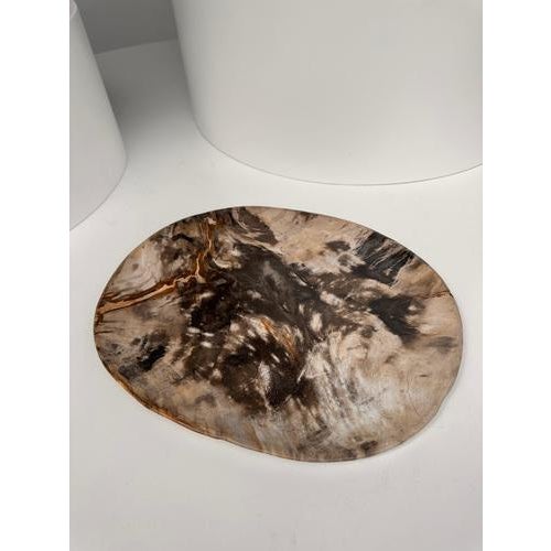 Very Large Vide-Poche or Dish in Petrified Wood For Sale - Image 5 of 18