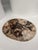 Very Large Vide-Poche or Dish in Petrified Wood For Sale - Image 5 of 18