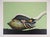 Jean-Paul Donadini, Le cygne et le coquillage, Lithograph For Sale - Image 8 of 8