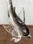 Large Vintage Murano Glass Shark Sculpture, Italy, 1970s For Sale - Image 10 of 17