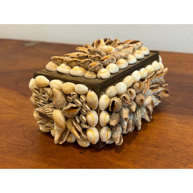 Vintage Palm Beach Style Rectangular Encrusted Shell Box in Neutral Palette For Sale - Image 15 of 18